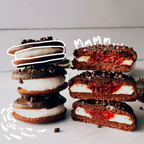 Galletas Gansito doble Chocolate